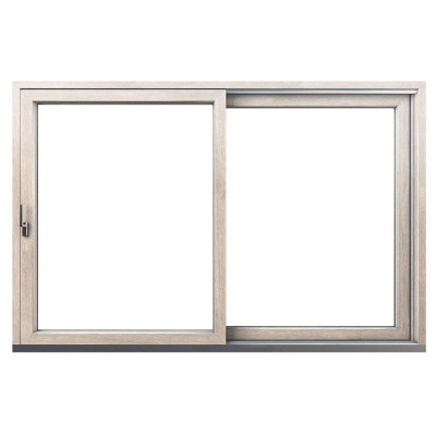 2 Panel Sliding Lite Brown Patio Door 